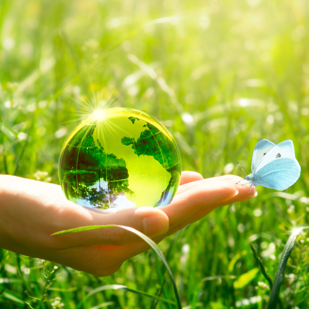 Save Environment